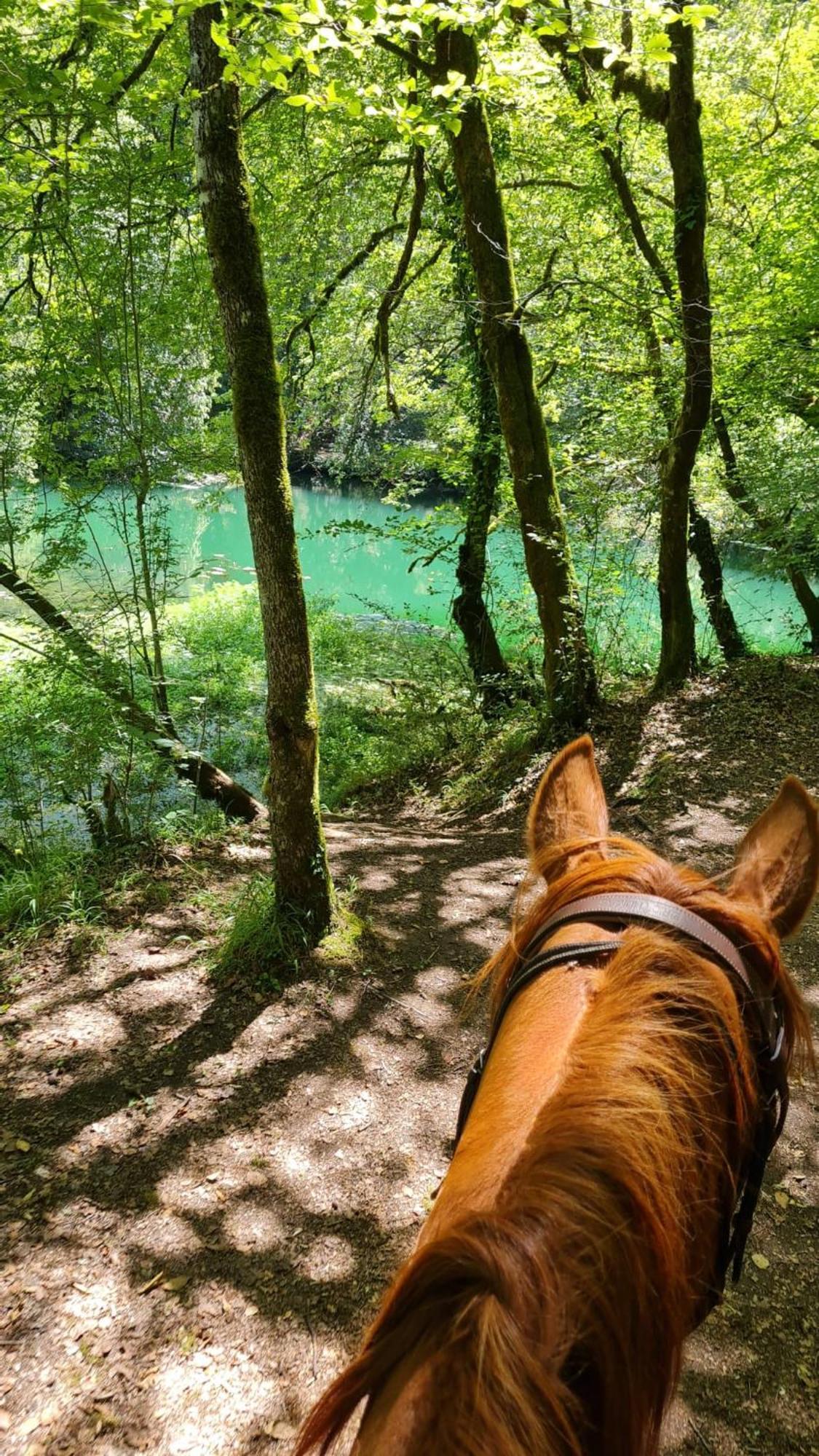 Gites Des Deux Vallees La Borieta Du Causse - Rocamadour Extérieur photo